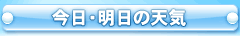 ̓VC